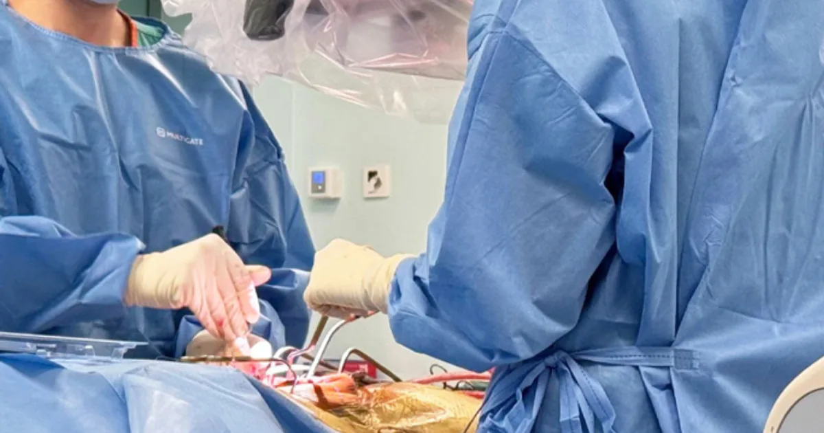 Two-Level MIS Discectomy Package
