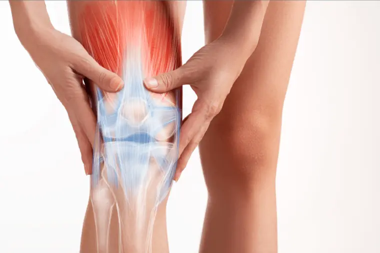 Total Knee Replacement — patient information
